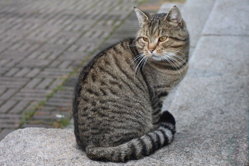 Photograph by Валентина