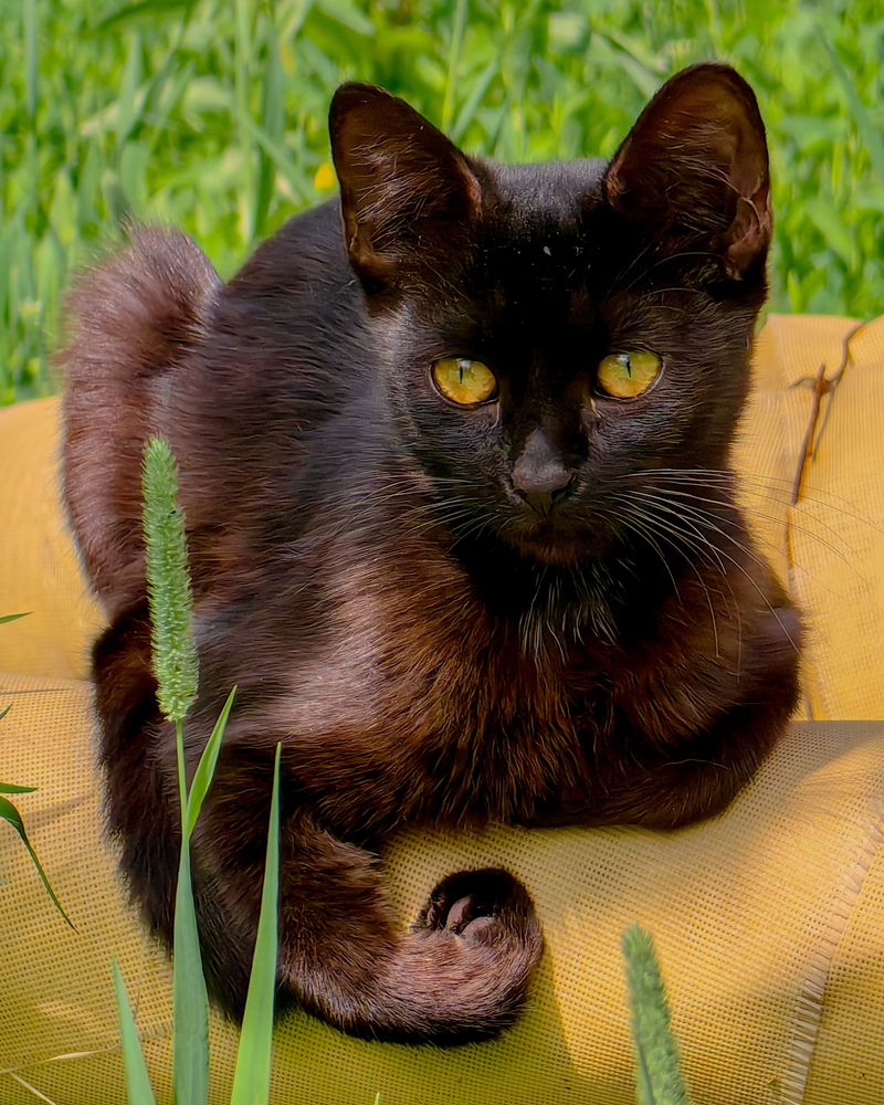 Photograph by Наталья Балабанова