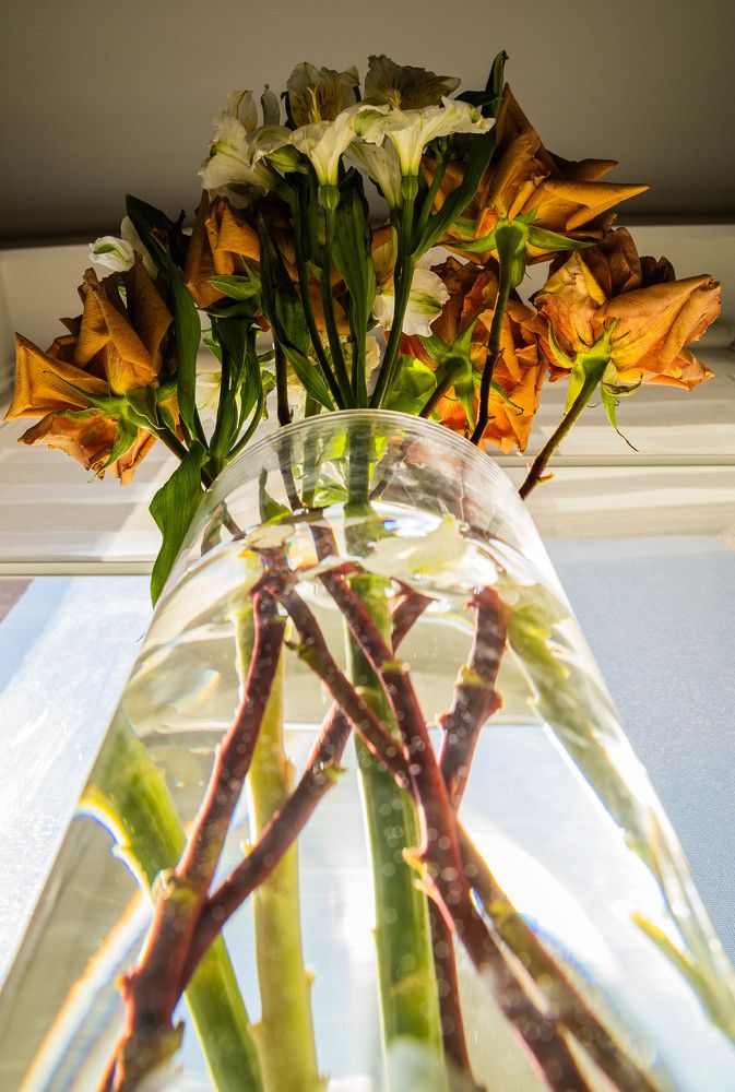 Фотография автора Yuliya Yuskova