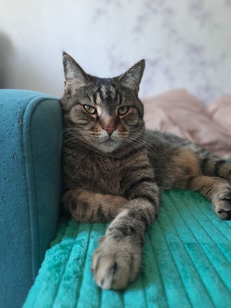 Photograph by Анжелика Соловьева