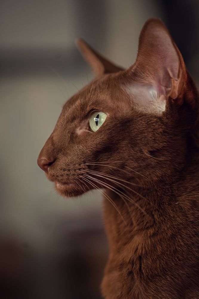 Photograph by Мария Путинцева