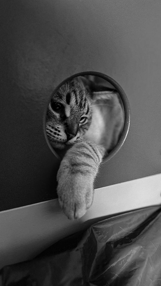 Photograph by Ахмылова Виктория