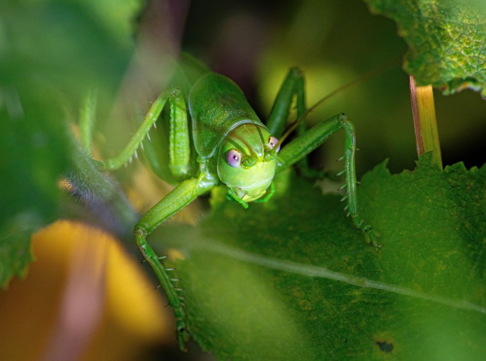 Photograph by Сергей Пак