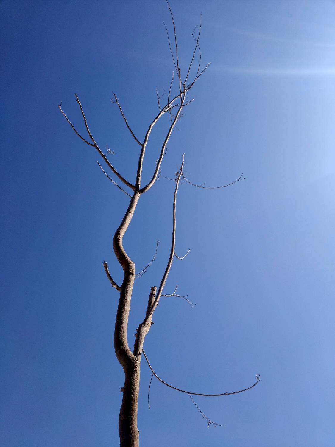 Фотография #10742543