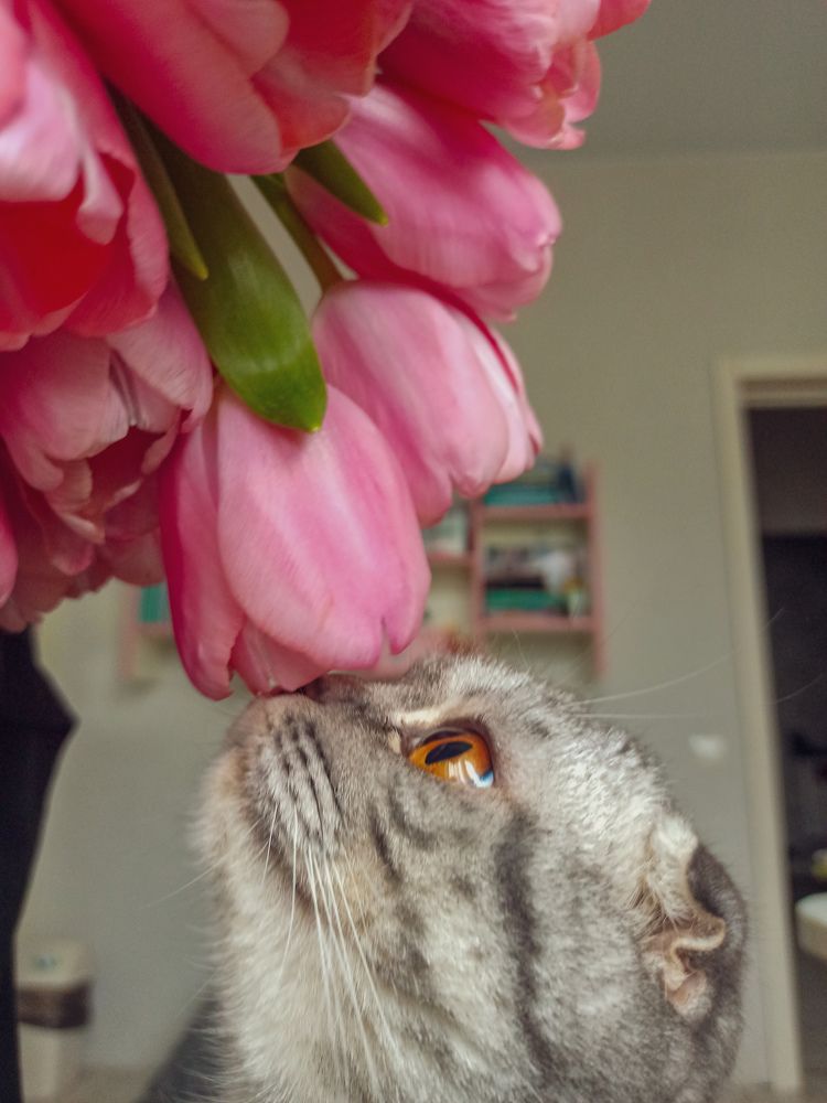 Муррр, март)))