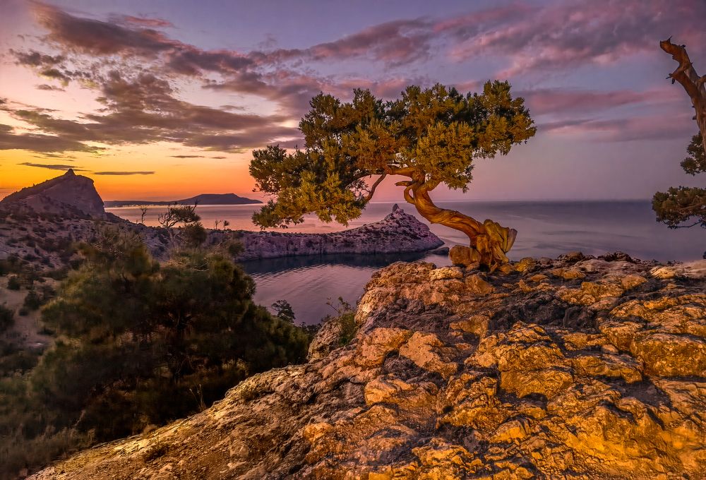 Photograph by Александр Разумов