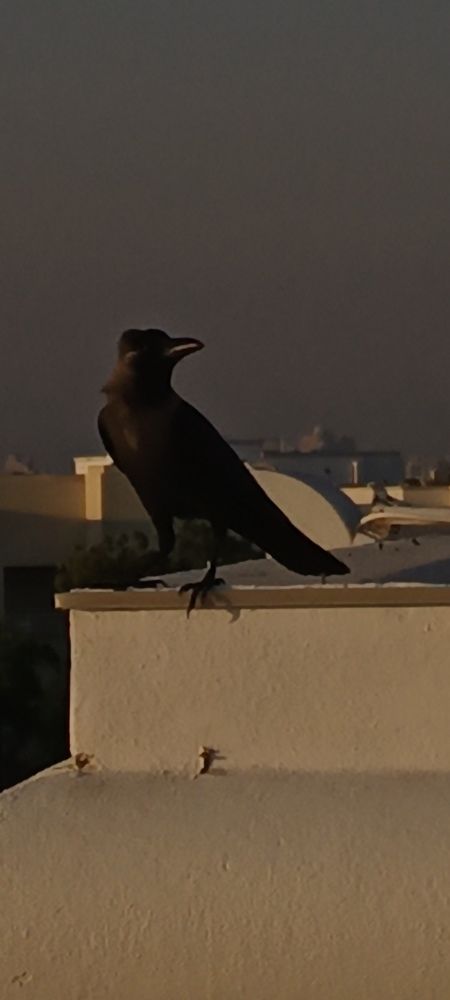 Photograph by Демьян Лопатов