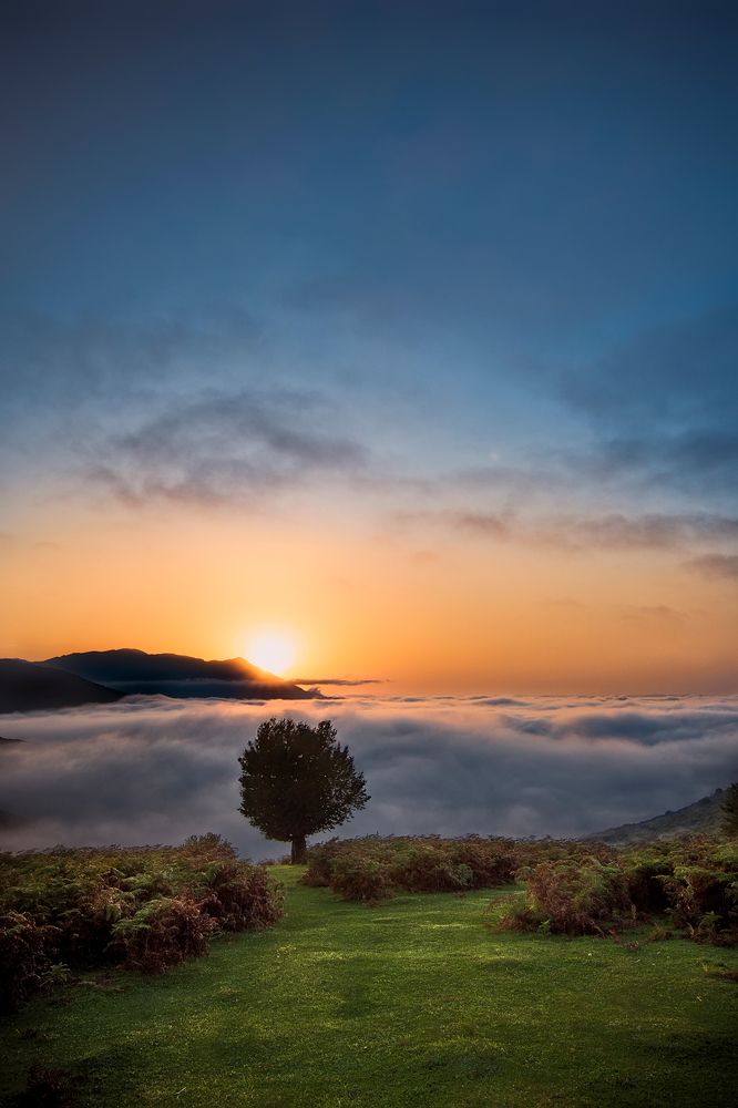 Photograph by Riahi Hosein