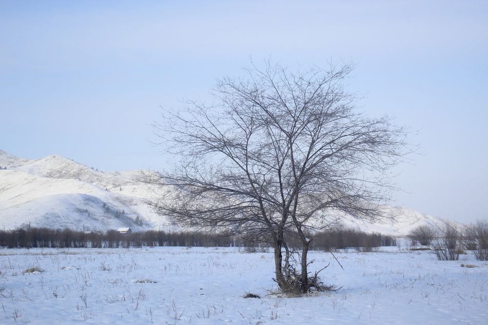 Photograph by Светлана Максимова