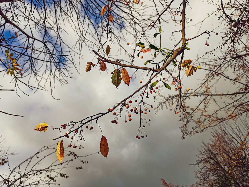 Photograph by Анастасия Кулешевич