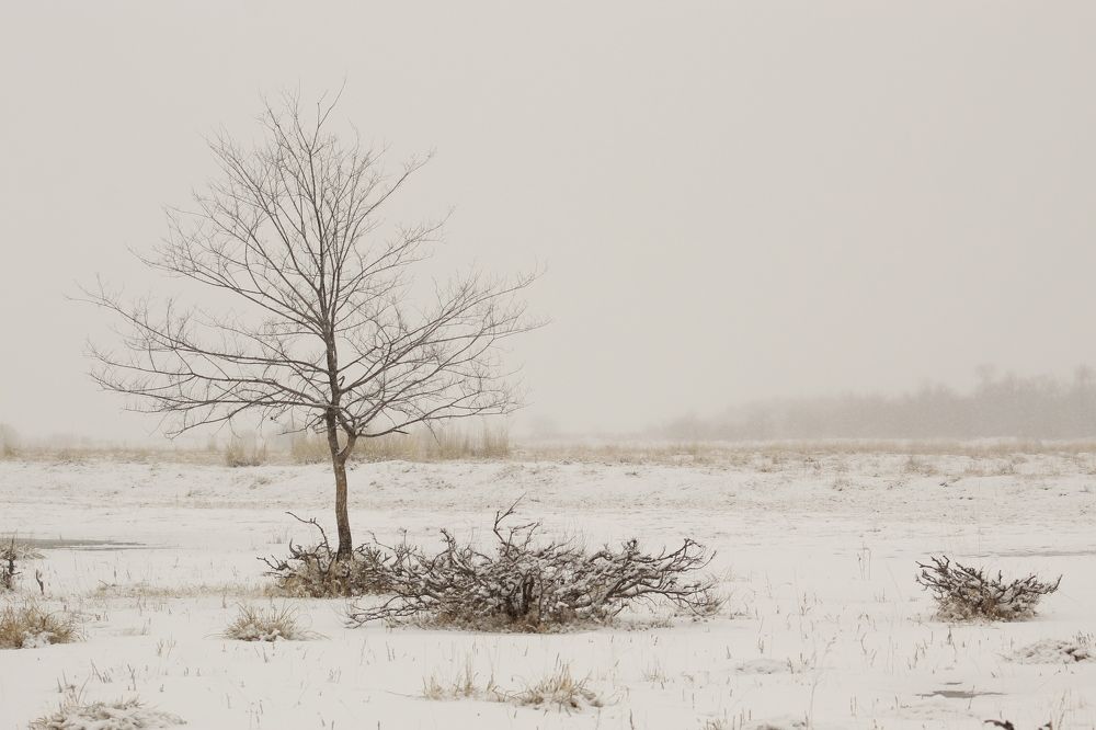 Photograph by Светлана Максимова