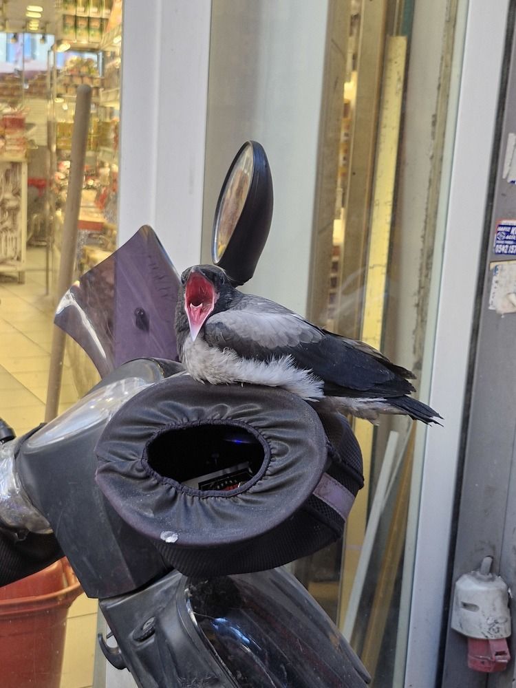 Photograph by Igor Chechin