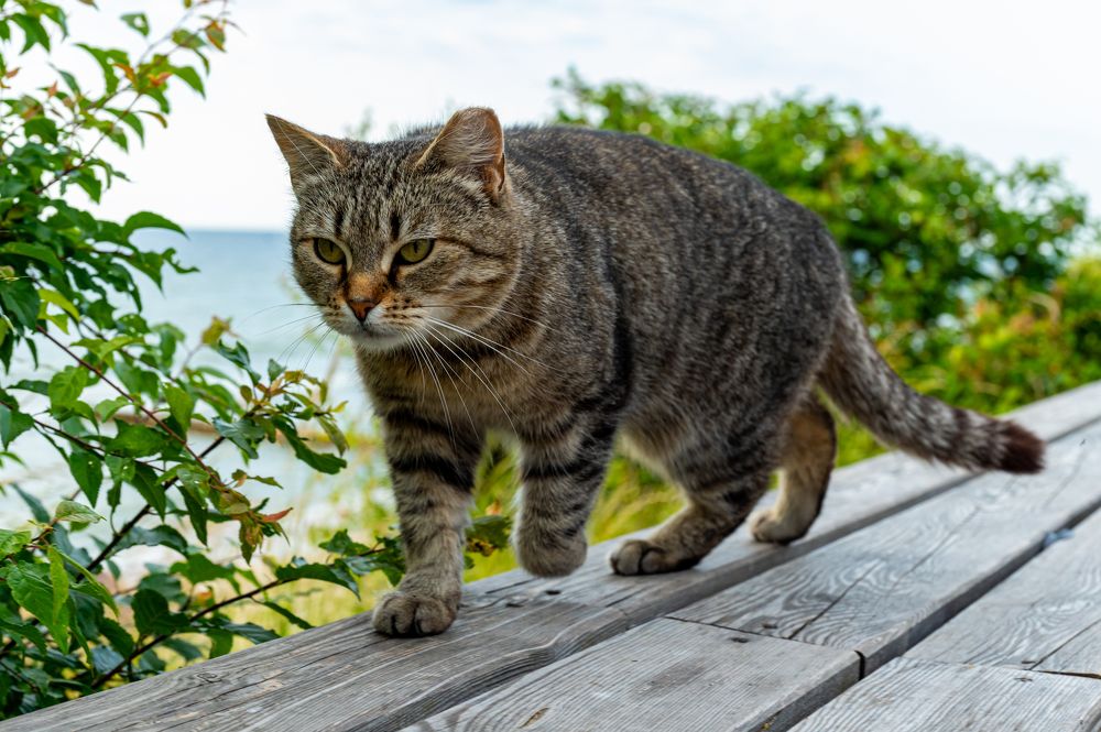 Photograph by Елена Аверина