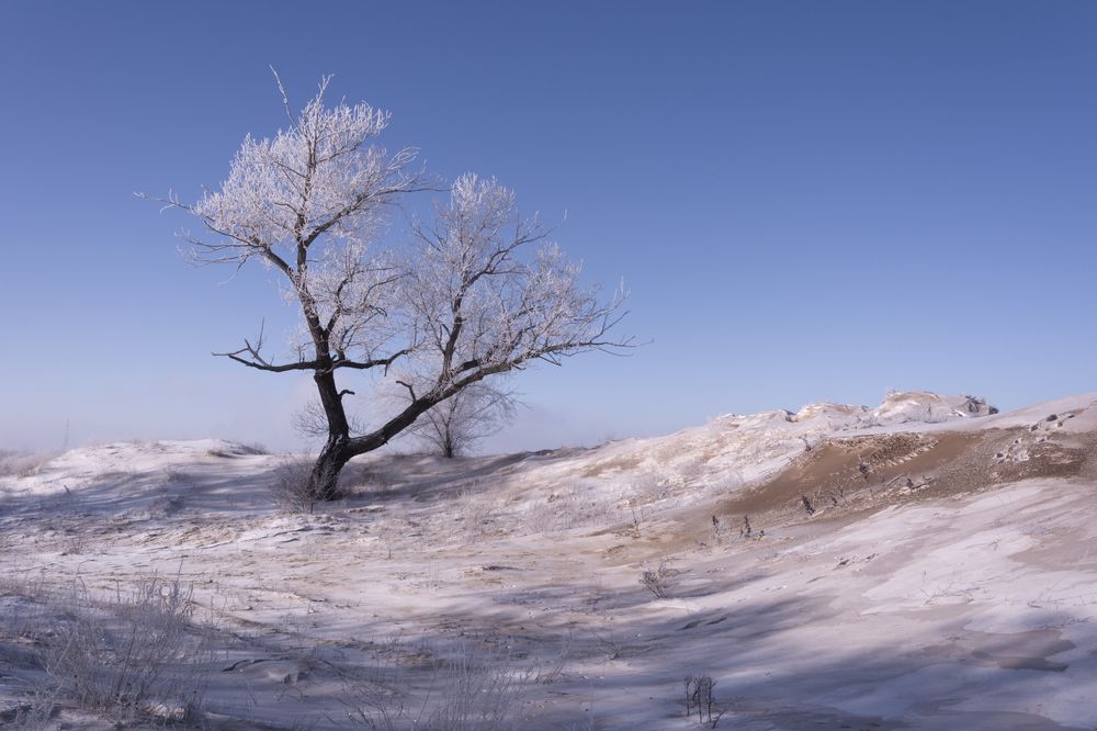 Photograph by Ольга Салтыкова