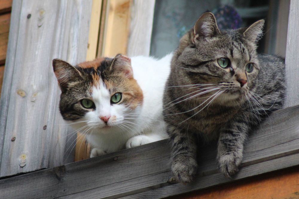 Photograph by Валентина