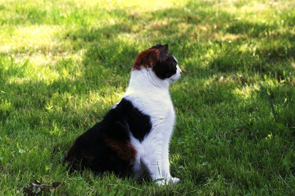 Photograph by Валентина