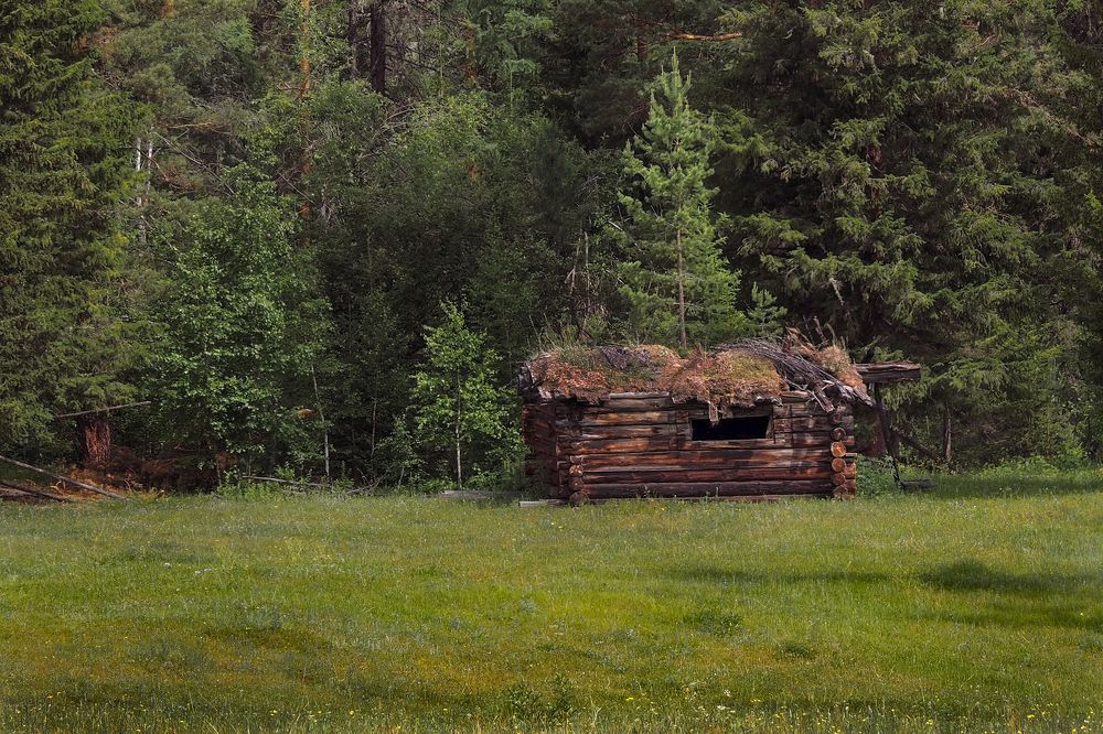 Photograph by Александр Попов