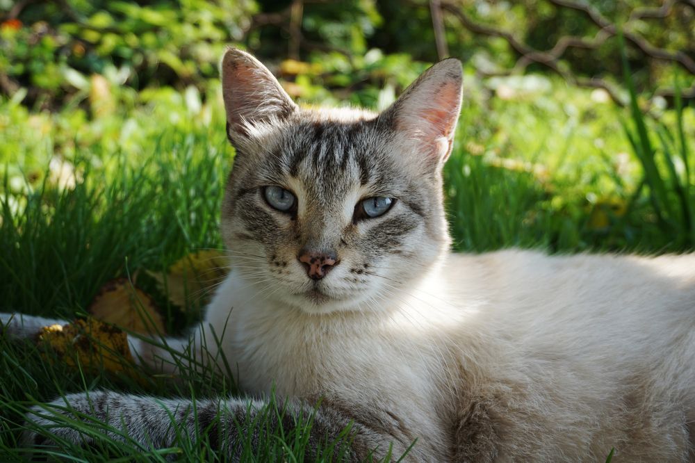 Photograph by Анастасия Морозова