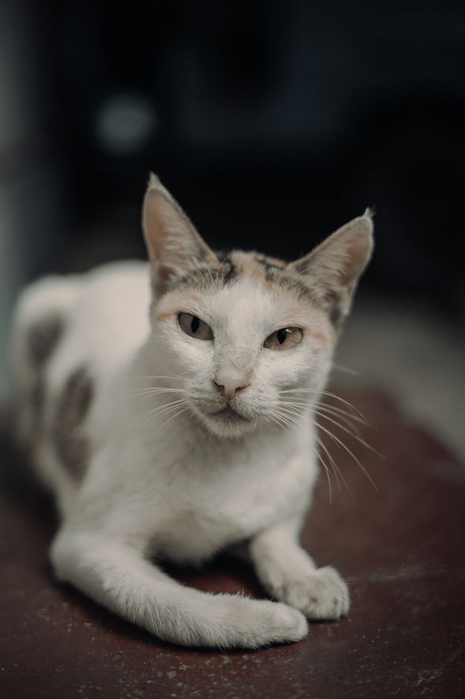 Photograph by Glorius Delima