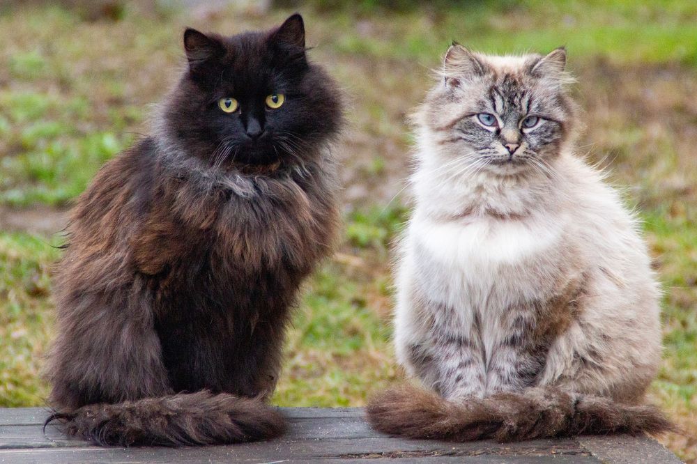 Photograph by Алексей Борисов