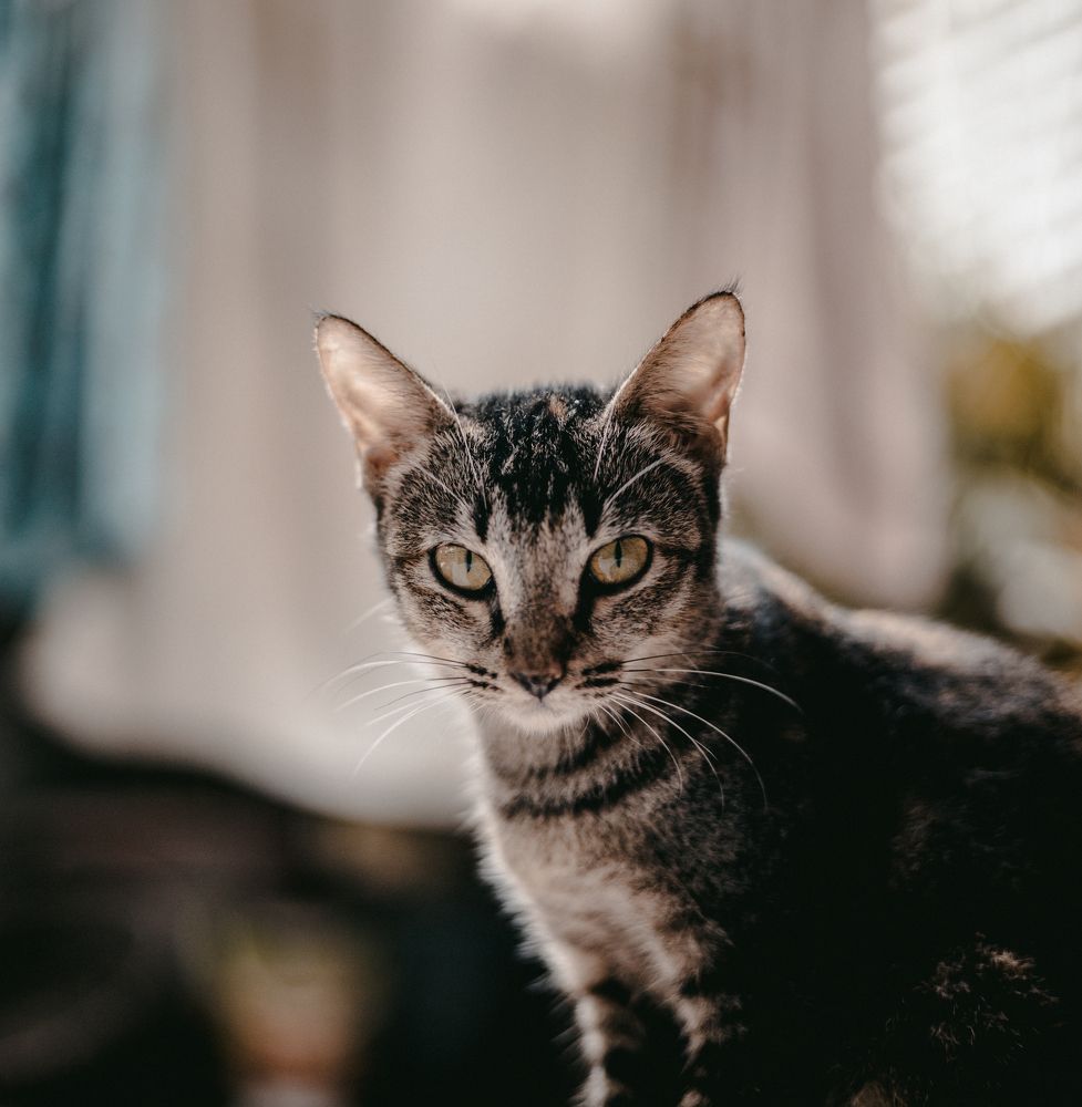 Photograph by Glorius Delima