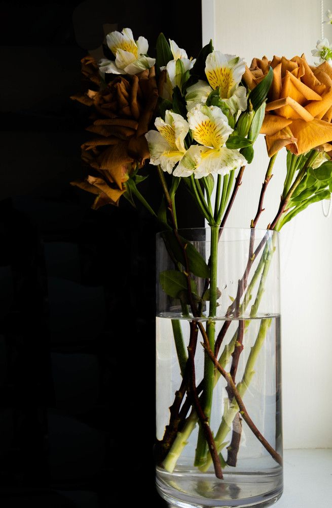 Фотография автора Yuliya Yuskova