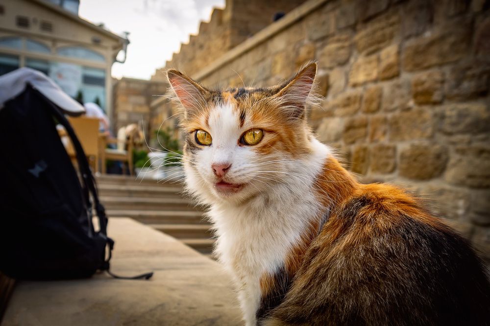 Photograph by Иван Кузнецов