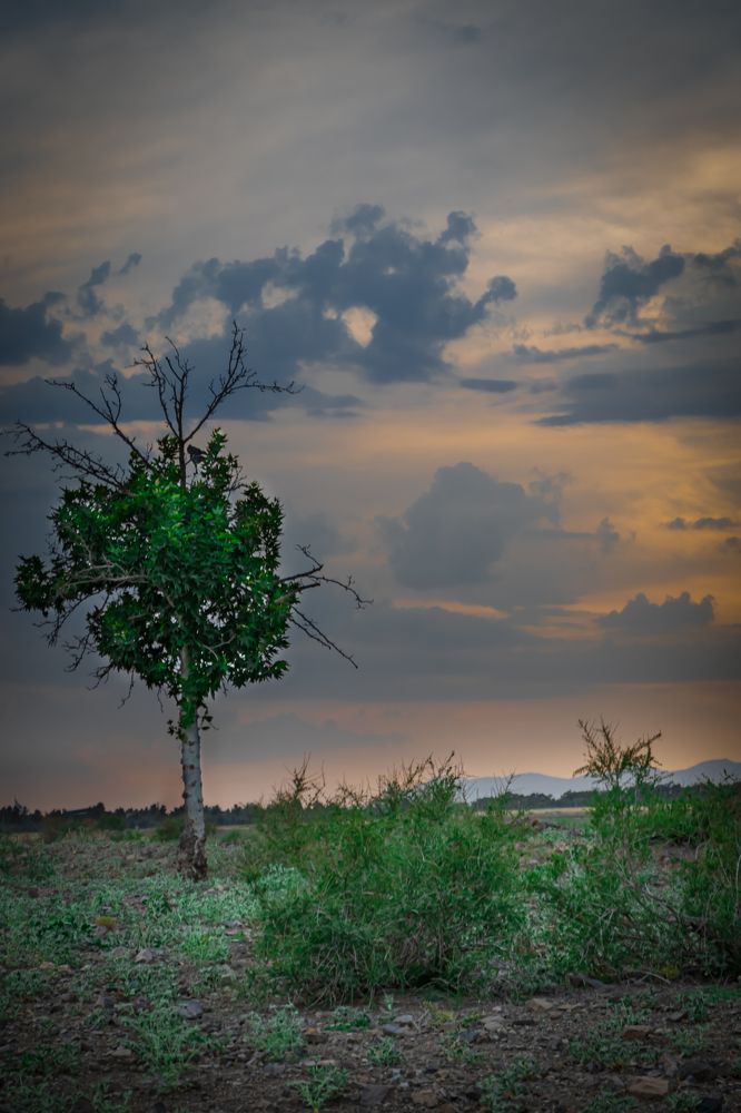 Photograph by Romina Moniri