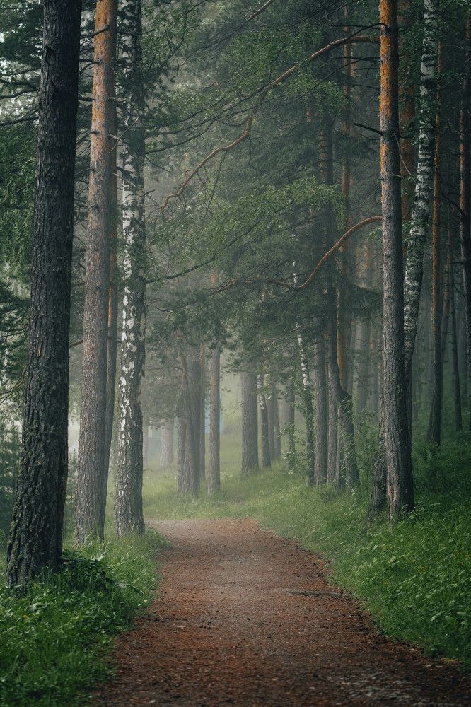 Photograph by Иван Кривоносов