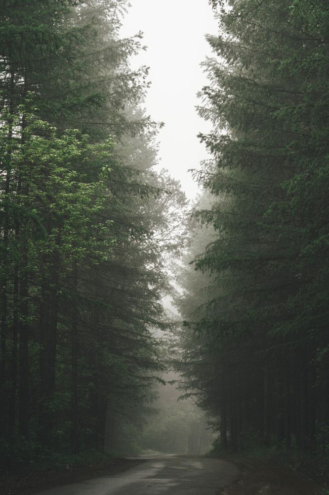 Photograph by Иван Кривоносов