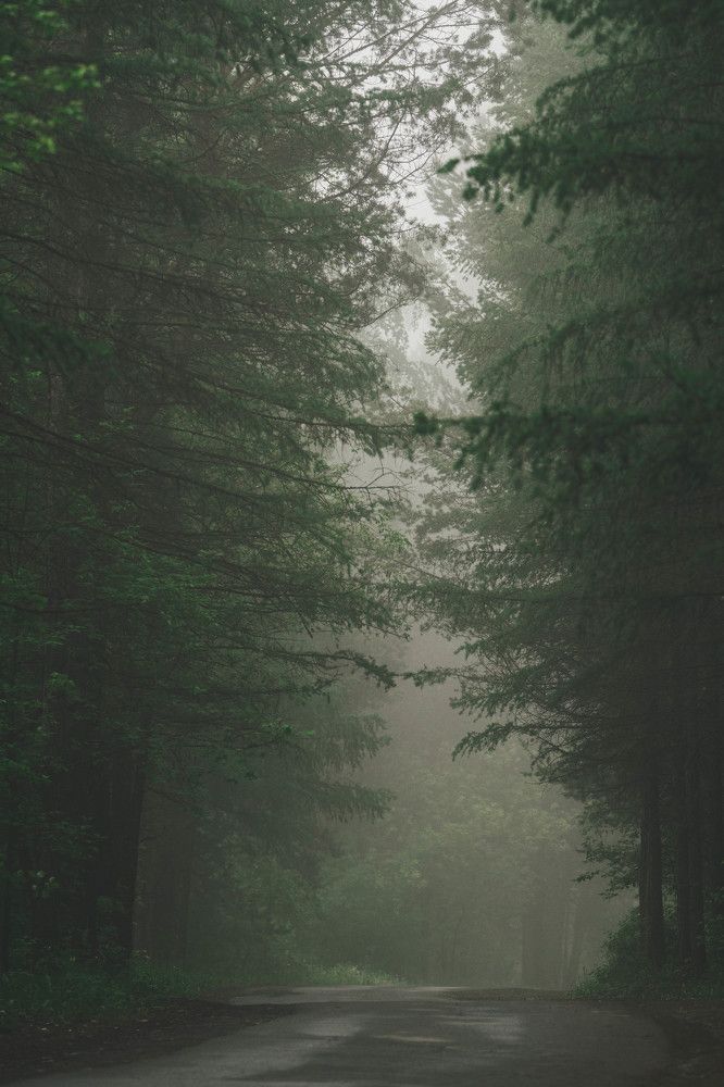 Photograph by Иван Кривоносов