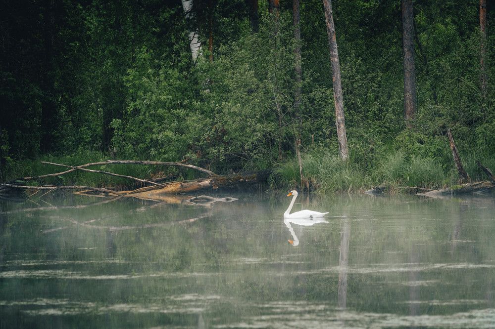 Photograph by Иван Кривоносов