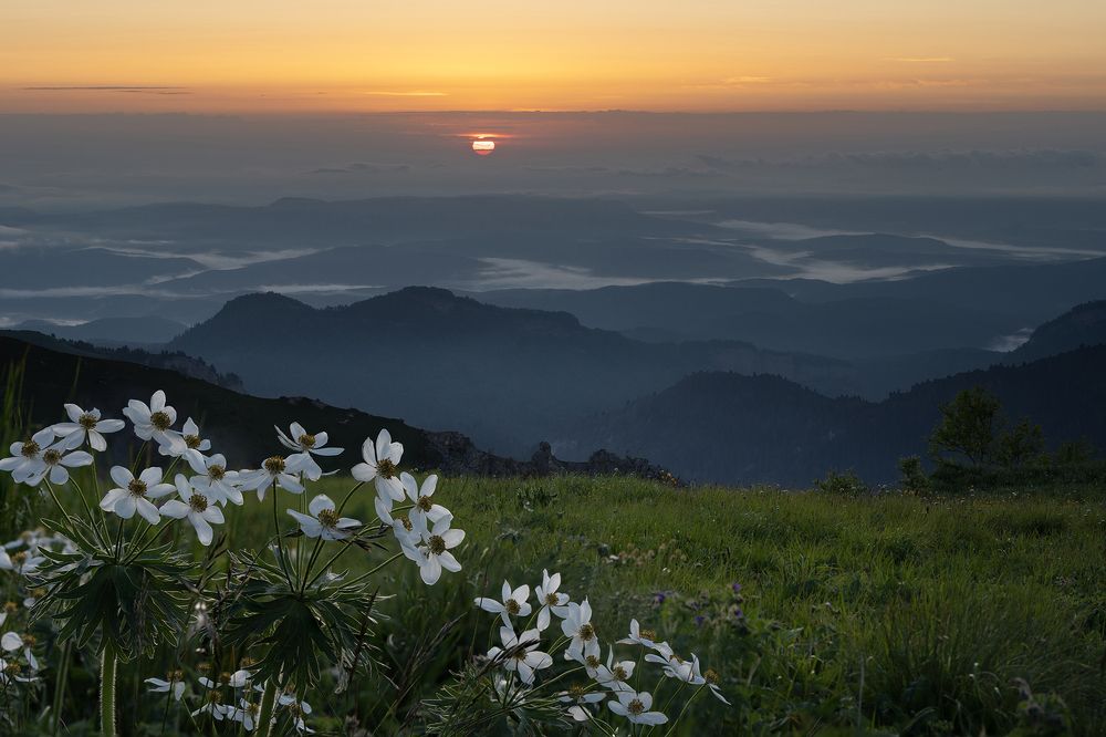 Photograph by Елена Вторушина