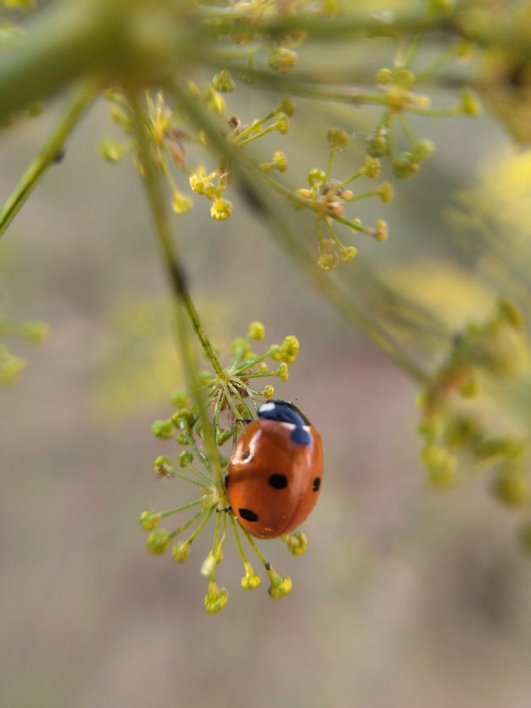 Photograph by Анна Степанова
