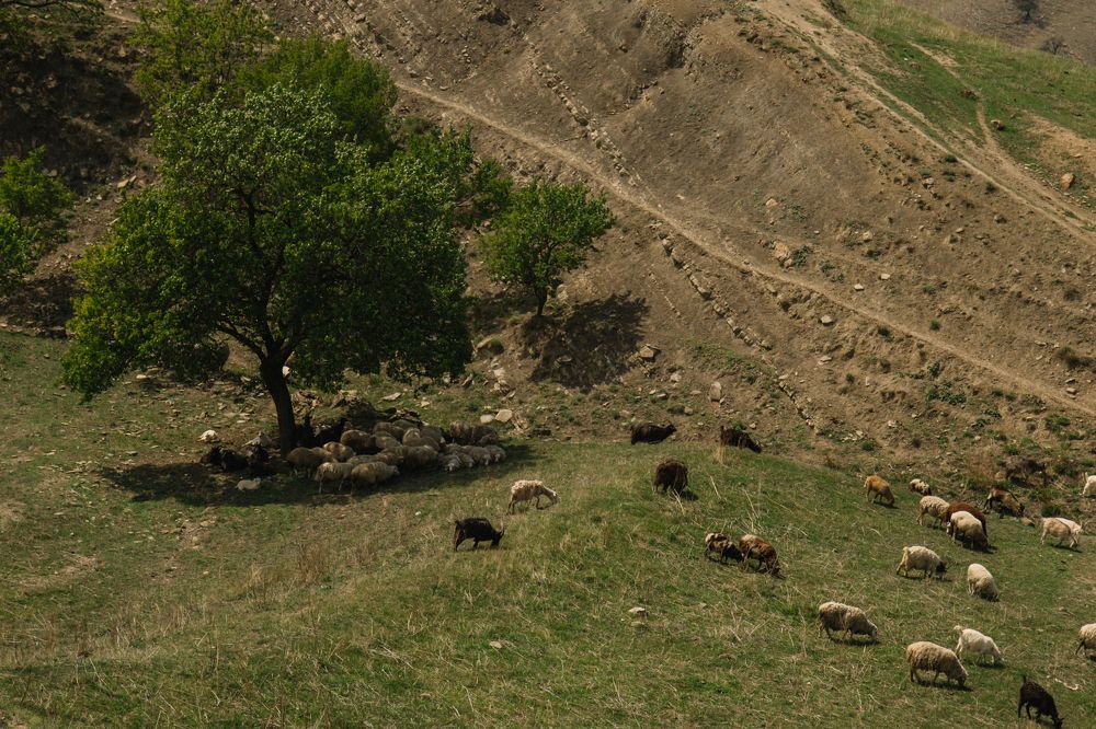 Photograph by Екатерина Максимова