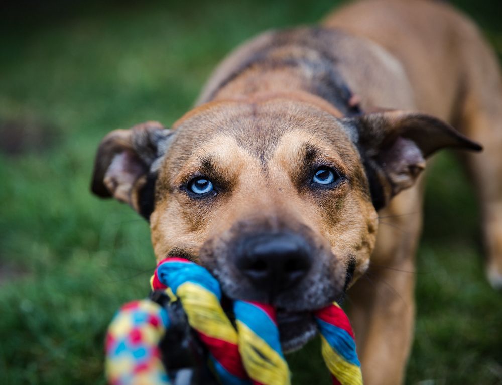 Photograph by Александр