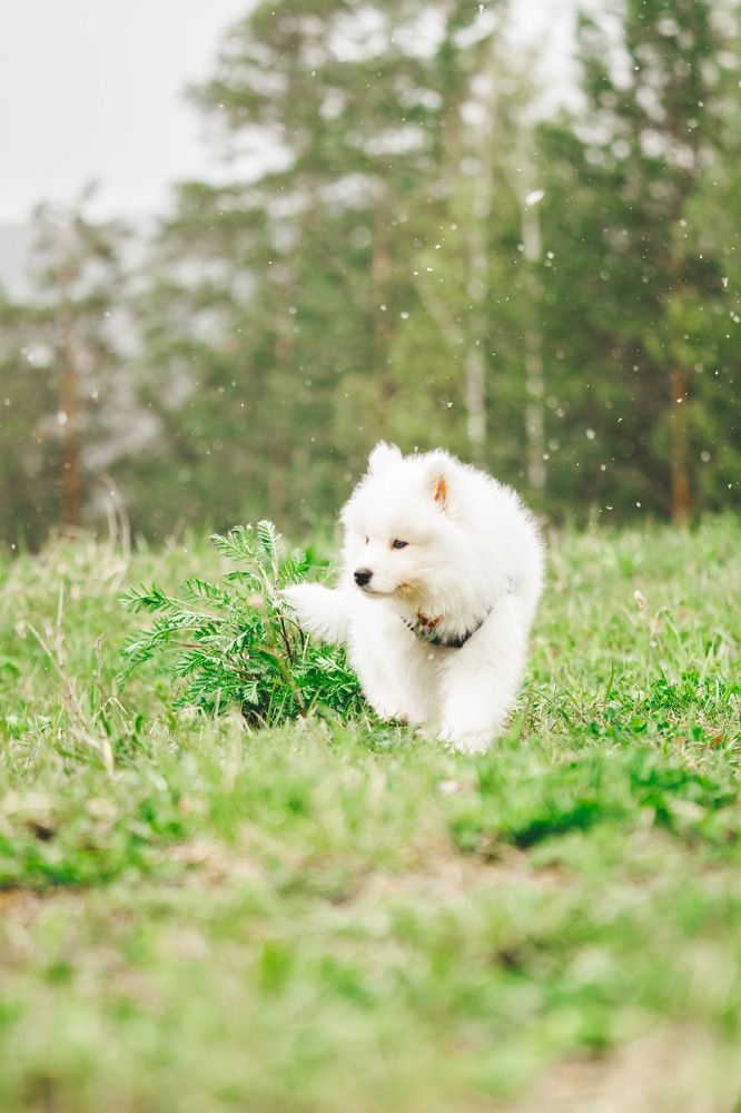 Photograph by Иван Кривоносов