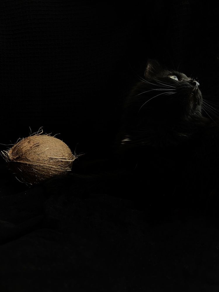 Photograph by Ксения Гулькова