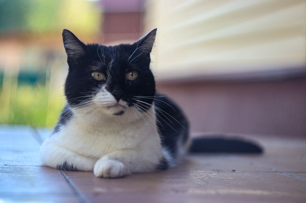 Photograph by Елена Рудкевич