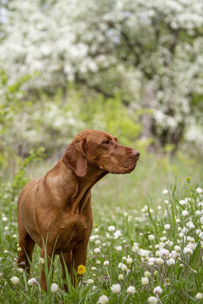 Photograph by Эльнара Исаева