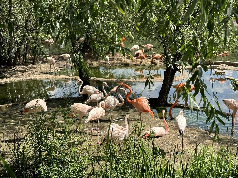 Photograph by Елена Посохина