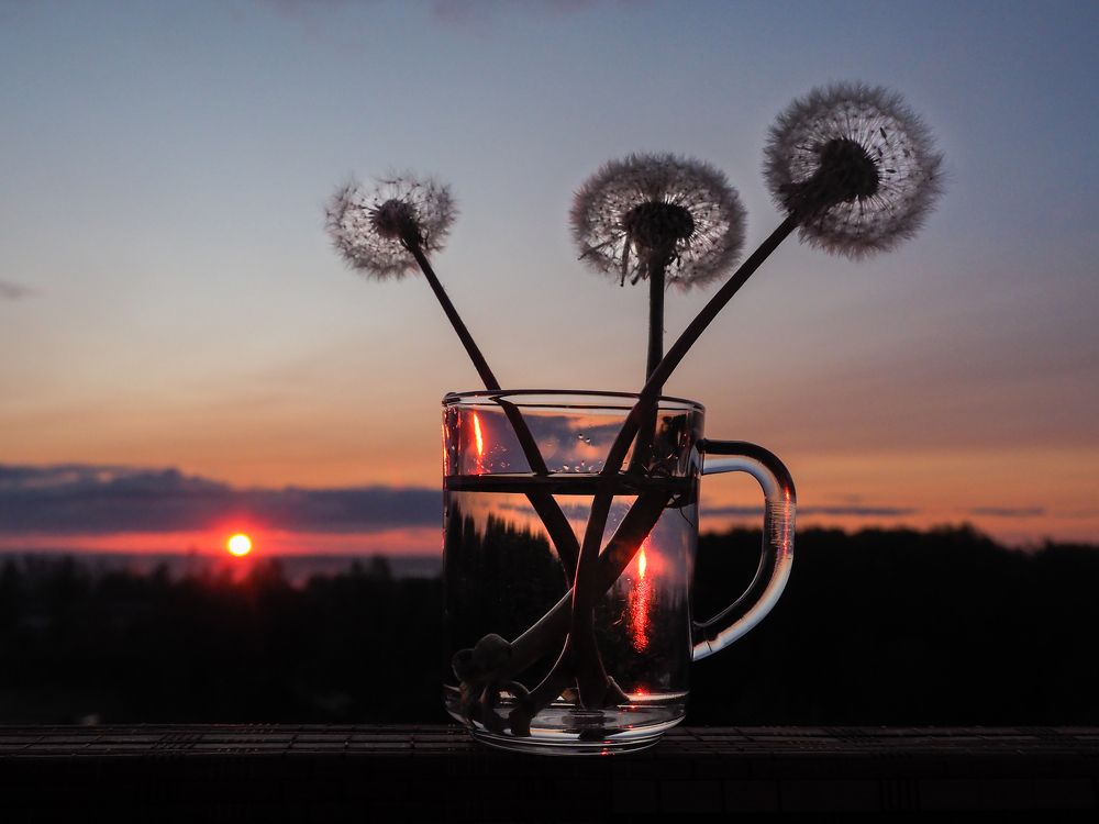 Photograph by Сергей Гаврилов