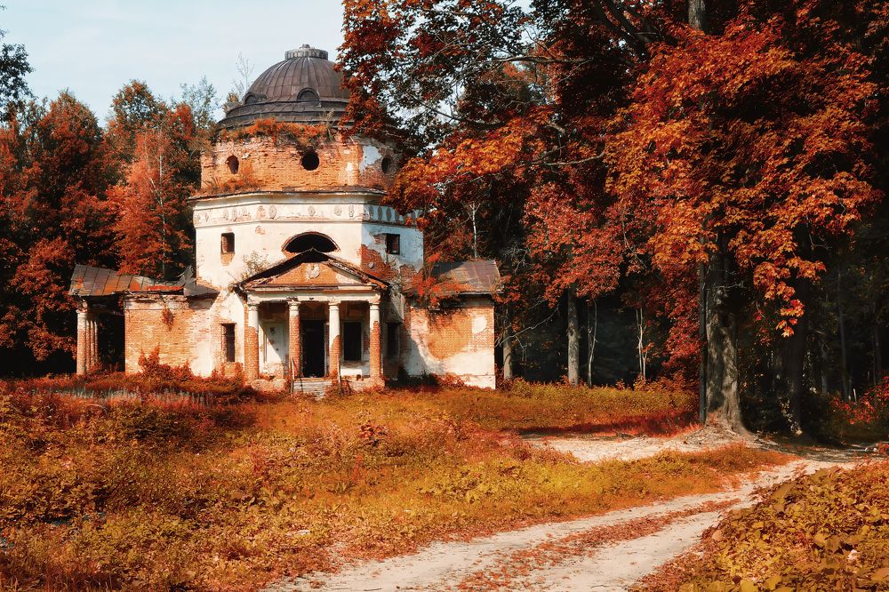 Фотография автора Oleg Podlesnykh