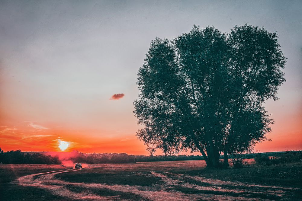 Фотография автора Oleg Podlesnykh