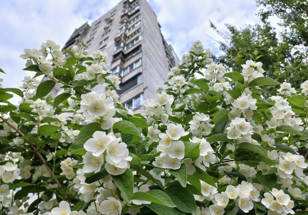 Photograph by Светлана Мельник