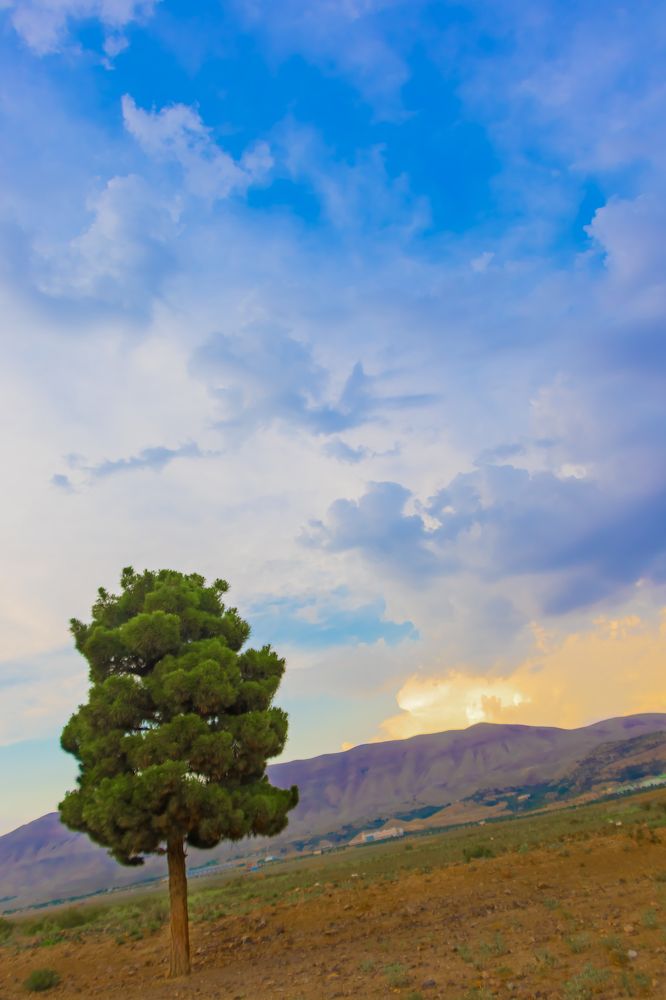 Photograph by Romina Moniri