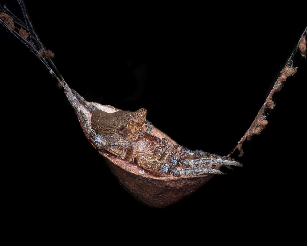 Photograph by Manjunath S