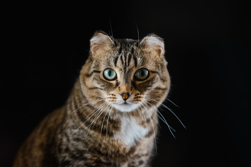 Photograph by Максим Маркин