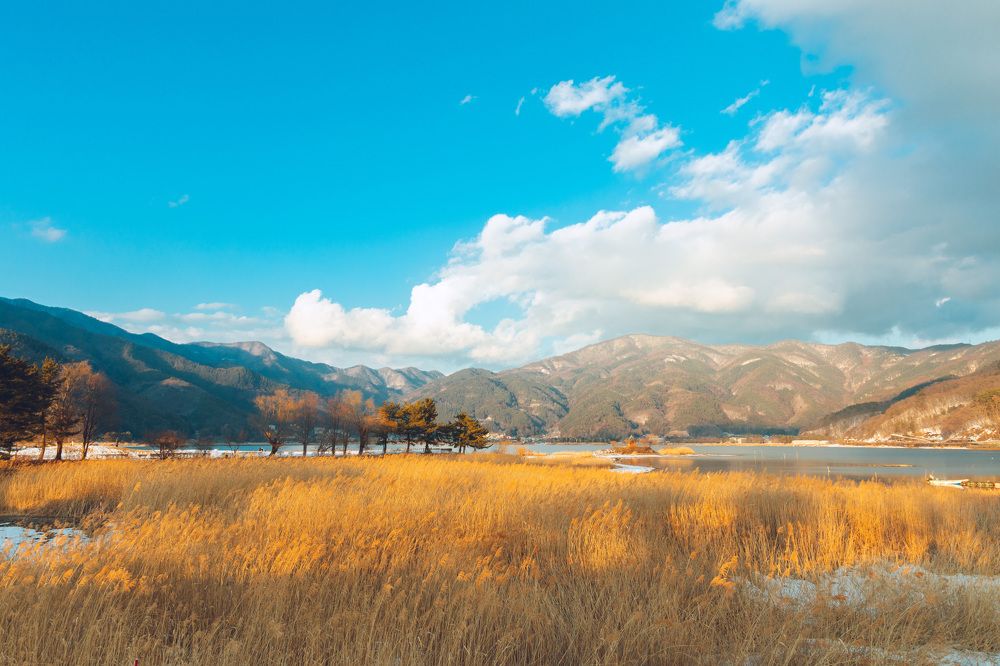 Фотография автора Leston Chu