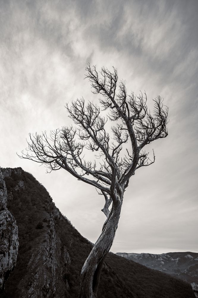 Photograph by Bogdan Kalashnikov